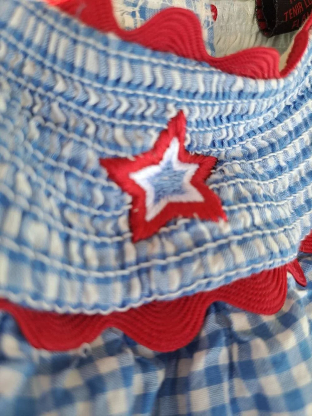 Cynthia Rowley Toddler Girls Blue Gingham Smocked Dress Red Star Embroidery 2T - Picture 2 of 9